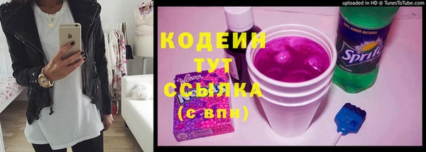 спайс Корсаков