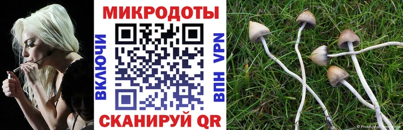 Псилоцибиновые грибы прущие грибы  ОМГ ОМГ ссылка  Энгельс 